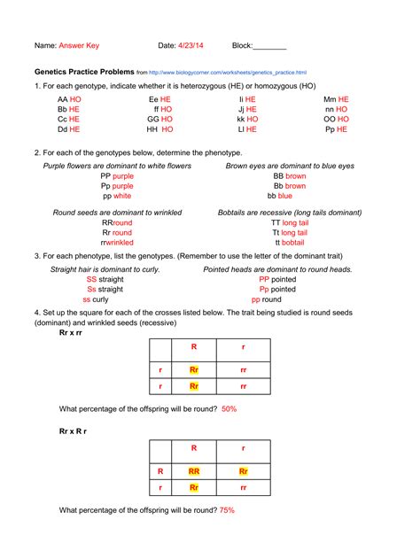 mendelian genetics genotypes worksheet answer key